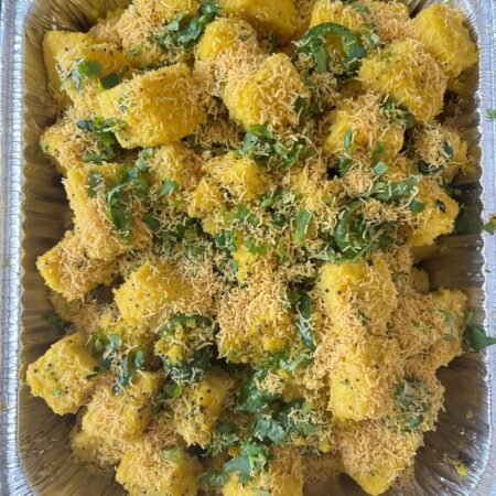 Vatidal Khaman